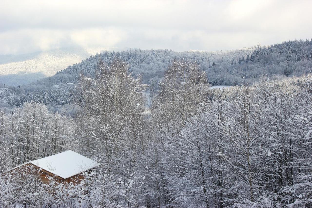 Domaine De Ribeaugoutte Villa Saint-Nabord ภายนอก รูปภาพ